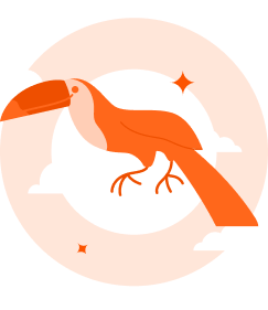 Costa Rica Identity Symbol